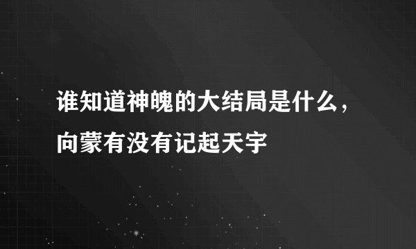 谁知道神魄的大结局是什么,向蒙有没有记起天宇
