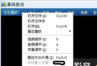 从射手网下载的字幕怎么用？