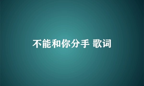 不能和你分手 歌词
