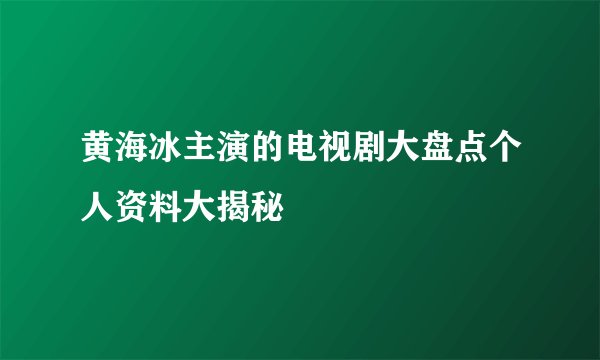 黄海冰主演的电视剧大盘点个人资料大揭秘