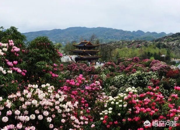 四月份国内有哪些适合摄影旅游的地方?