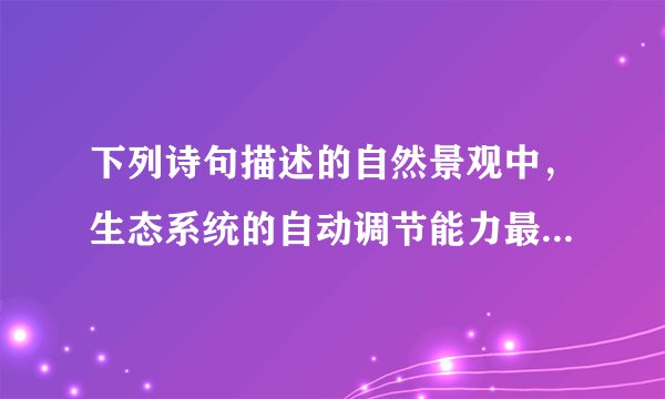 下列诗句描述的自然景观中，生态系统的自动调节能力最弱的是（　　）A.大漠孤烟直，长河落日圆B.天苍苍野茫茫，风吹草低见牛羊C.两只黄鹂鸣翠柳，一行白鹭上青天D.孤帆远影碧空尽，唯见长江天际流