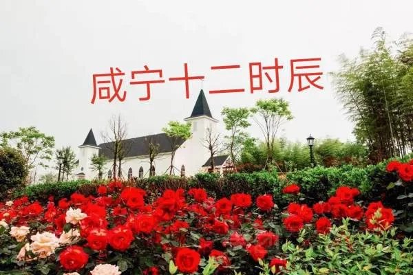 湖北咸宁有那些好玩的地方?