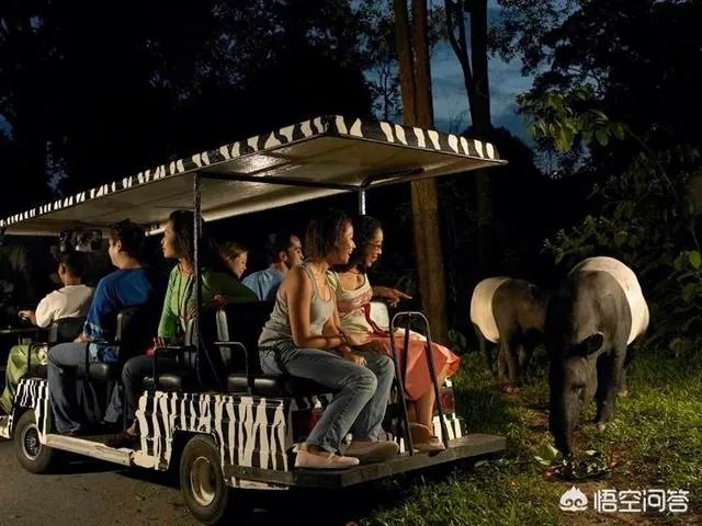 去新加坡旅游,一定不能错过的旅游景点有哪些?