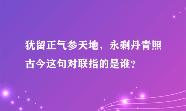 犹留正气参天地,永剩丹青照古今这句对联指的是谁?