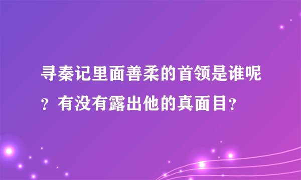 寻秦记里面善柔的首领是谁呢？有没有露出他的真面目？