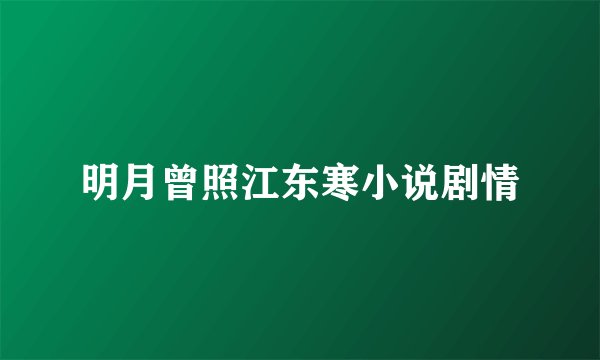 明月曾照江东寒小说剧情