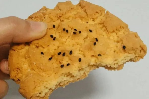 鲍师傅糕点怎么样?