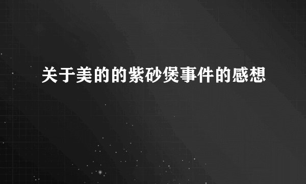关于美的的紫砂煲事件的感想