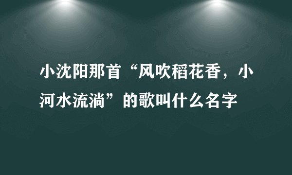 小沈阳那首“风吹稻花香，小河水流淌”的歌叫什么名字