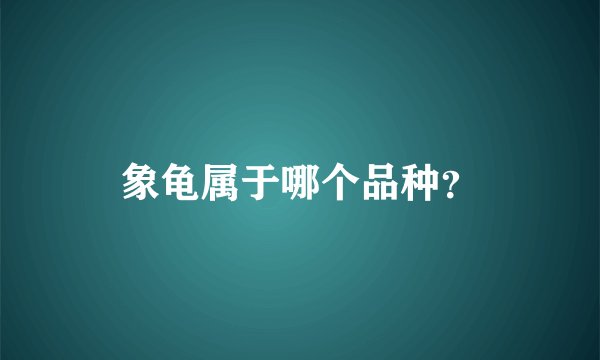 象龟属于哪个品种？