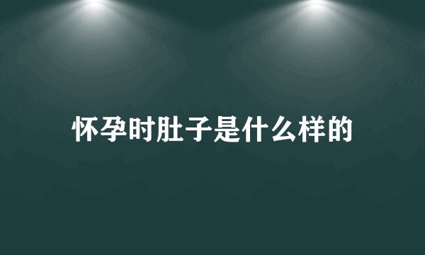 怀孕时肚子是什么样的