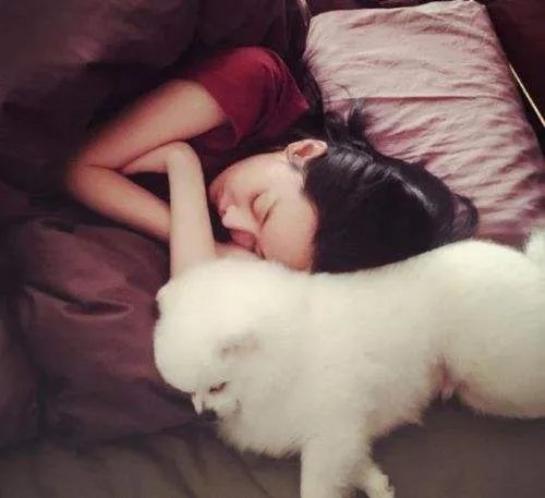 梦见离婚是什么预兆  梦见和老公离婚好不好