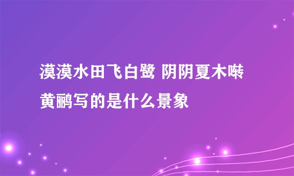 漠漠水田飞白鹭 阴阴夏木啭黄鹂写的是什么景象