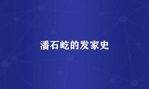 潘石屹的发家史