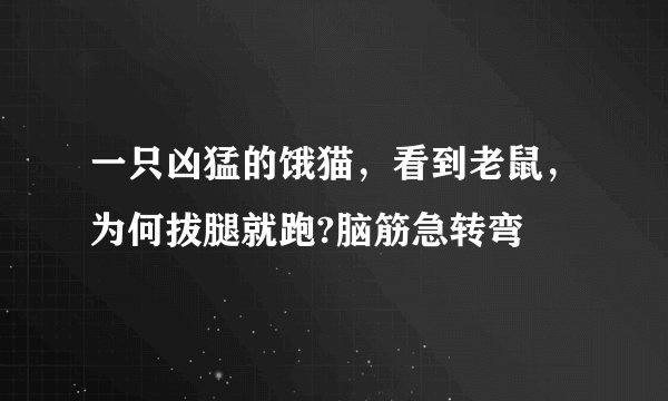 一只凶猛的饿猫,看到老鼠,为何拔腿就跑?脑筋急转弯