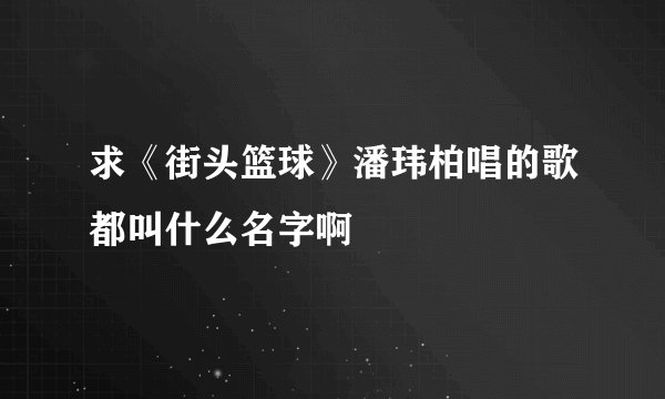 求《街头篮球》潘玮柏唱的歌都叫什么名字啊