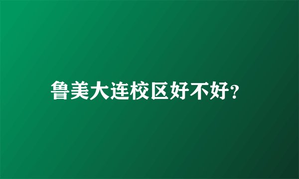 鲁美大连校区好不好？