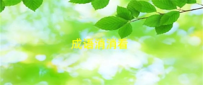 成语消消看