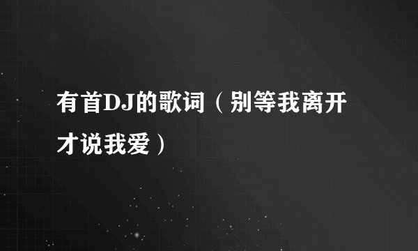 有首DJ的歌词(别等我离开才说我爱)