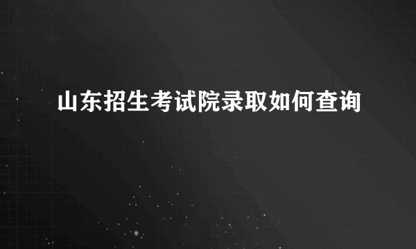 山东招生考试院录取如何查询