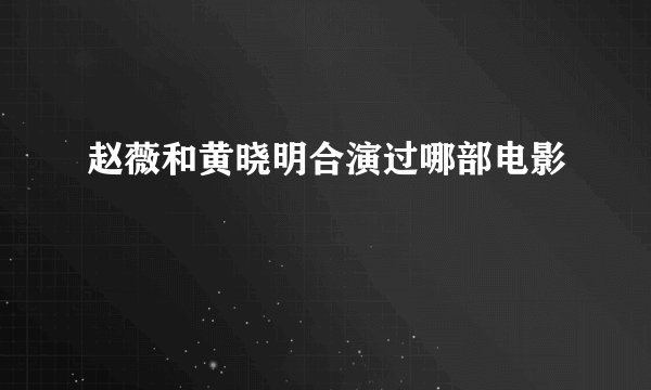 赵薇和黄晓明合演过哪部电影