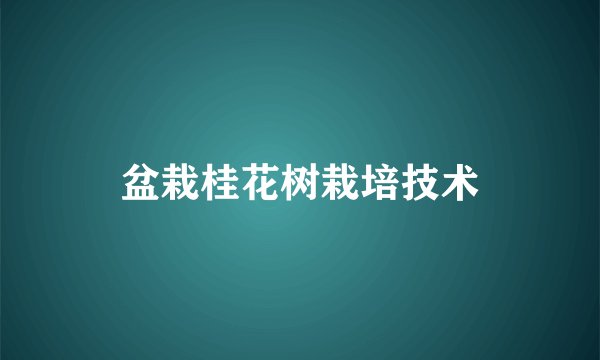 盆栽桂花树栽培技术