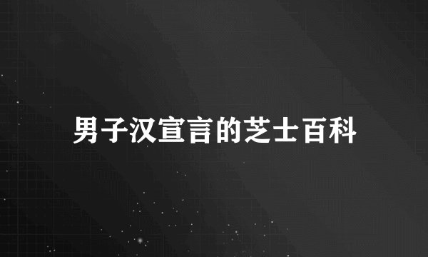 男子汉宣言的芝士百科