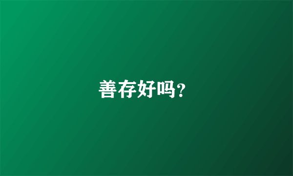 善存好吗？