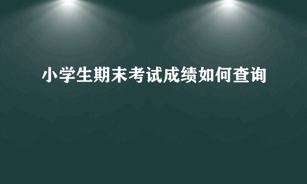 小学生期末考试成绩如何查询