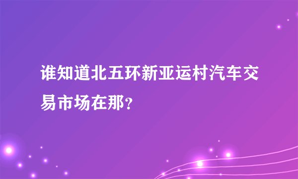 谁知道北五环新亚运村汽车交易市场在那？