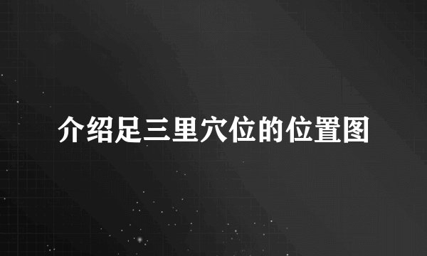 介绍足三里穴位的位置图