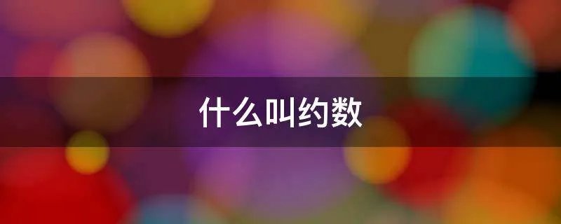 什么叫约数