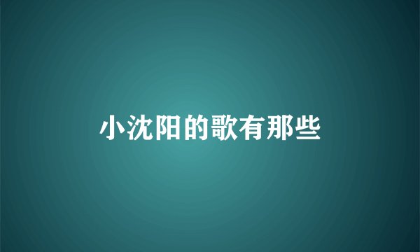 小沈阳的歌有那些