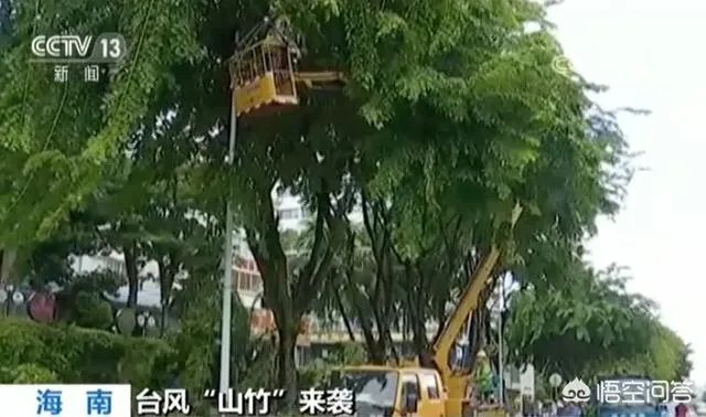 超强台风“山竹”突然来袭,作为普通民众应该怎样应对?