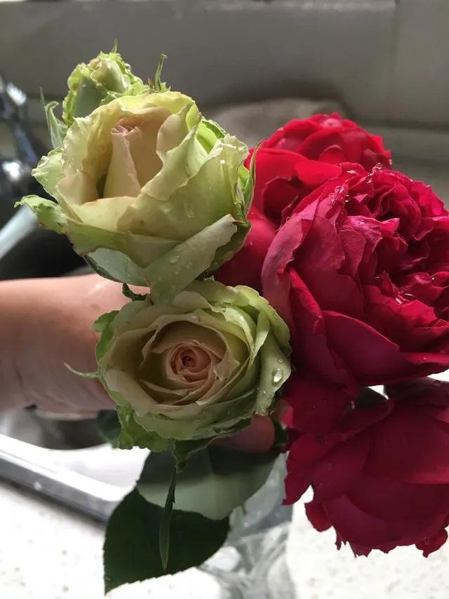 为什么很多人都说“千万不要买宿迁的花”?