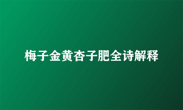 梅子金黄杏子肥全诗解释