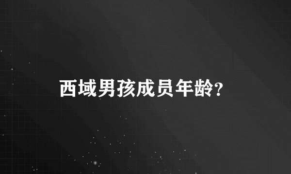 西域男孩成员年龄?