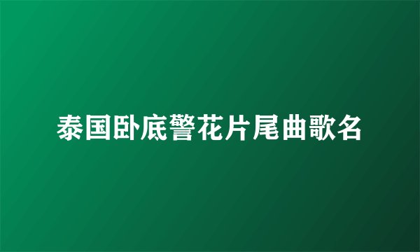 泰国卧底警花片尾曲歌名