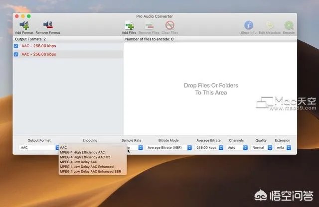 Pro Audio Converter Mac无限版?