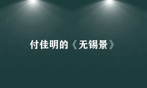 付佳明的《无锡景》