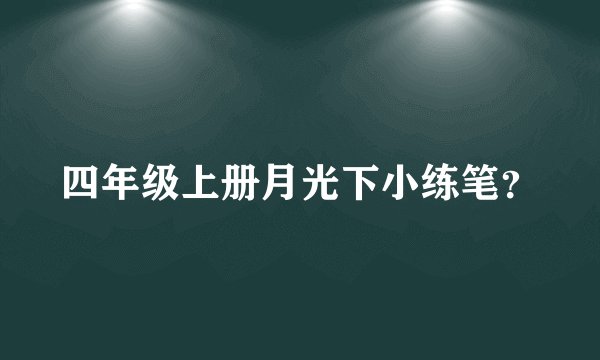 四年级上册月光下小练笔？