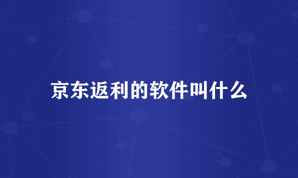 京东返利的软件叫什么