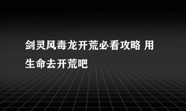 剑灵风毒龙开荒必看攻略 用生命去开荒吧