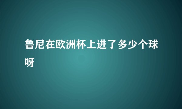 鲁尼在欧洲杯上进了多少个球呀