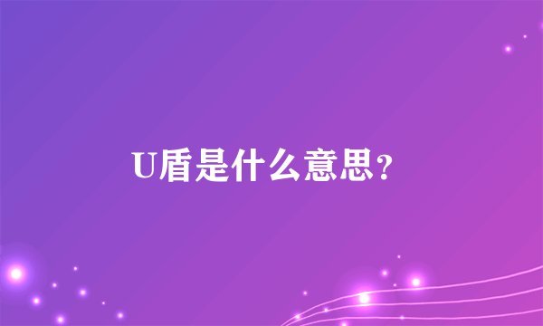 U盾是什么意思？
