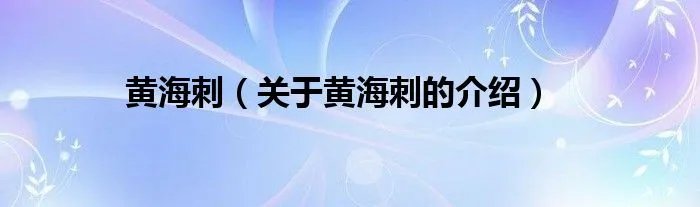 黄海刺（关于黄海刺的介绍）