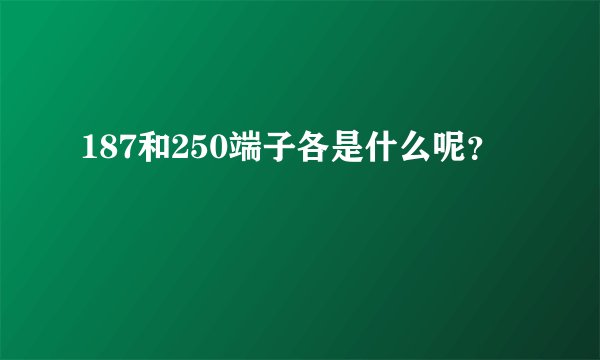187和250端子各是什么呢？