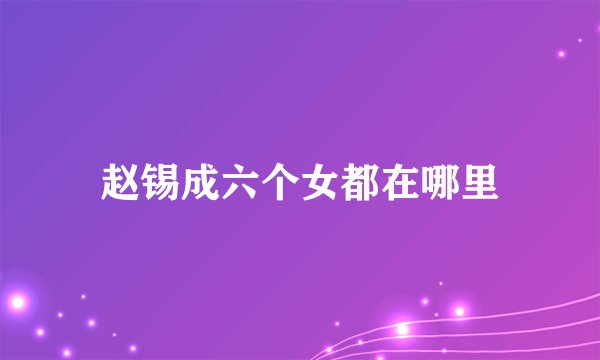 赵锡成六个女都在哪里