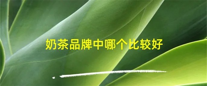 奶茶品牌中哪个比较好